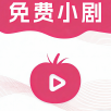 梅林电视永久VIP会员版